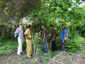 Practitioners on Flores